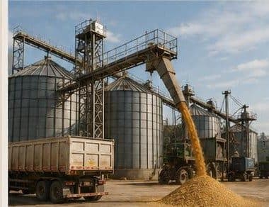 GNZ Commodities